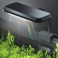 Đèn led bể cá Deyao CF 02 đỏ cá không đỏ nước