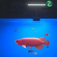 Đèn LED bể cá ZHAOCAIMAO Thực vật thủy sinh thực tế 360 độ