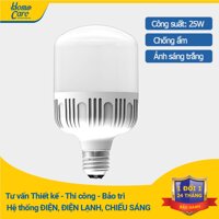 Đèn LED bulb công suất lớn Điện Quang ĐQ LEDBU10 25765 (25W Daylight)