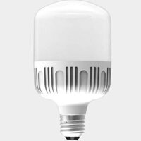 Đèn LED bulb công suất lớn Điện Quang ĐQ LEDBU10 25765AW (25W Daylight)