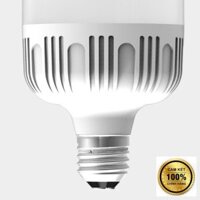 Đèn LED bulb công suất lớn Điện Quang ĐQ LEDBU10 18727AW (18W warmwhite chống ấm ) .