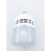 Đèn led bulb công suất lớn Điện Quang ĐQ LEDBU09 30765 (30W daylight)