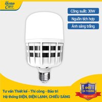 Đèn LED bulb công suất lớn Điện Quang ĐQ LEDBU09 30765 (30W daylight nguồn tích hợp)