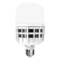 Đèn LED Bulb Điện Quang ĐQ LEDBU09 20765 20W (Daylight)