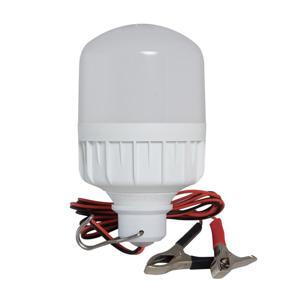 Đèn led bulb Rạng Đông LED TR70N1 - 12W Kẹp