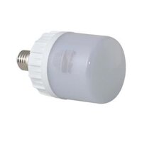 Đèn LED BULB TRỤ 20W Rạng Đông, Chip LED Sam Sung - Trắng 6500K, Trắng 6500K