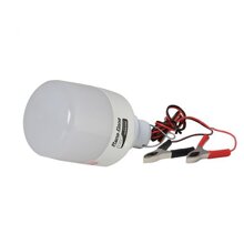 Đèn led bulb Rạng Đông LED TR70N1 - 12W Kẹp