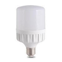 Đèn LED Búp Trụ 30W Rạng Đông LED TR100N1/30W.H