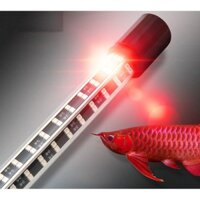 Đèn Led Cá Rồng - Đèn KÍCH MÀU cá RỒNG - LA HÁN - HỒNG KÉT