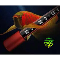 ĐÈN LED CÁ RỒNG MAYIN SUPER COLOUR ĐỎ CÁ KHÔNG ĐỎ NƯỚC