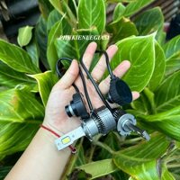 ĐÈN LED chân 2 D2R D2S dùng cho Ballast Chip CPS mạnh sáng trắng 6000k Mitsubishi Grandis