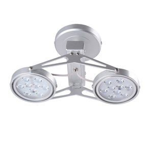 Đèn led chiếu điểm Duhal AIC801 2x9W