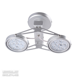 Đèn led chiếu điểm Duhal AIC801 2x9W