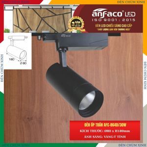 Đèn led chiếu điểm Anfaco AFC-864D - 30W