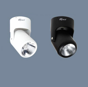 Đèn led chiếu điểm Anfaco AFC-866 - 12W