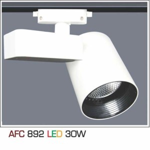 Đèn led chiếu điểm Anfaco AFC-892 - 30W
