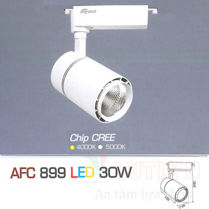 Đèn led chiếu điểm Anfaco AFC-899-30W