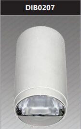 Đèn led chiếu sâu gắn nổi trang trí 20w DIB0207
