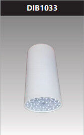 Đèn led chiếu sâu gắn nổi trang trí 3w DIB1033