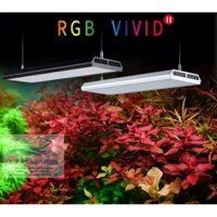 ĐÈN LED CHIHIROS RGB VIVID 2 (BẢN KỈ  NIỆM 10 NĂM)