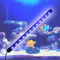 Đèn Led chìm cho Bể cá T4- 60 3 chế độ màu