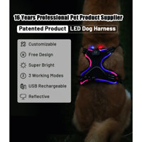 Đèn LED cho thú cưng Dây đeo ngực phát sáng Phong cách sạc USB Đèn phản quang ban đêm Dây đeo chó phát sáng