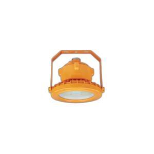 Đèn LED chống nổ MPE LEPR-60T