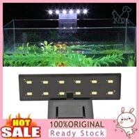 Đèn LED Chống Thấm Nước Để Trồng Cây Trang Trí Bể Cá