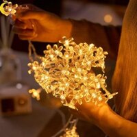 Đèn LED cổ tích RADIANTFLASH, Đèn hoa chống nước Đèn dây hoa anh đào, Điều khiển từ xa dự tiệc 80 đèn LED sạc USB Đèn dây trang trí trong nhà