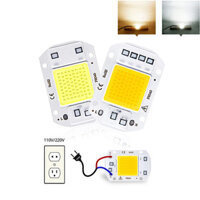 Đèn LED COB hạt 20W 30W 50W AC 110V 220V không cần điều khiển, đèn pha DIY, bóng đèn LED, đèn chiếu sáng, đèn trắng lạnh ấm, đèn chip ngoài trời