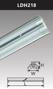 Đèn led công nghiệp chóa phản quang 2x20w LDH218