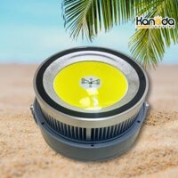 ĐÈN LED ĐÁNH CÁ 1000W KANADA – ÁNH SÁNG VÀNG 4000K