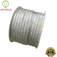 Đèn LED dây 3 hàng bóng 2835 siêu sáng