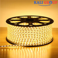 Đèn LED Dây 3 Hàng Led ASIA LD35-180 (03 hàng)