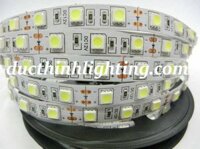 Đèn LED Dây 5050 5M