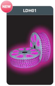 Đèn led dây cao áp ánh sáng hồng LDH01