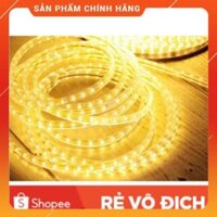 Đèn led dây đôi 2835 ĐƠN MÀU GIÁ 1 CUỘN 100M