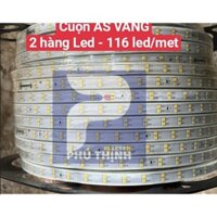 Đèn Led dây đôi 5730 siêu sáng 2 hàng