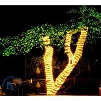 Đèn Led dây đôi trang trí 2835 siêu sáng 2 hàng ( Đơn giá / 5 mét )