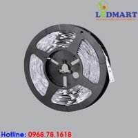 Đèn LED Dây Hắt Trần Màu Vàng LSWW