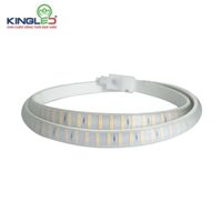 ĐÈN LED DÂY KingLED LD-14-2835-V , 14W