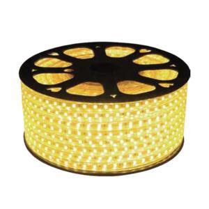 Đèn Led dây MPE LS5050AC