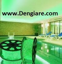ĐÈN LED DÂY QUẤN GỐC CÂY
