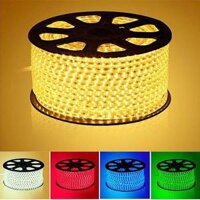 Đèn LED dây trang trí, hắt trần loại 2 mắt 1 hàng, dây đồng chống ẩm tuyệt đối  mua trên 15m tặng nguồn - ánh sáng vàng