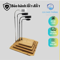 Đèn LED đế gỗ chuyên dụng ánh sáng trắng - Cho bể cá hình tròn tetarium, bể mini