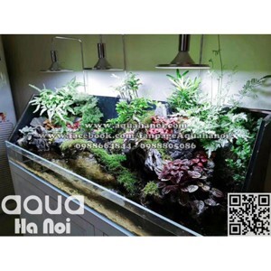 Đèn Led đĩa XINMA 20W