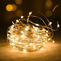 Đèn Led Đom Đóm Dây Kẽm Dễ Uốn Kèm Pin CR2032 - 1m - Vàng Ấm