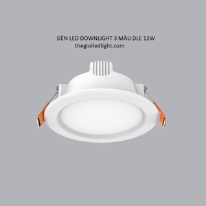 Đèn LED Downlight 3 Màu DLE 12W