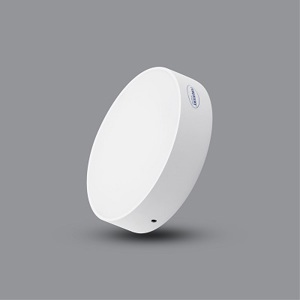 Đèn LED Downlight 30W gắn nổi tràn viền PSDQQ225L30 Paragon