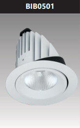 Đèn led downlight chiếu sâu 50w BIB0501